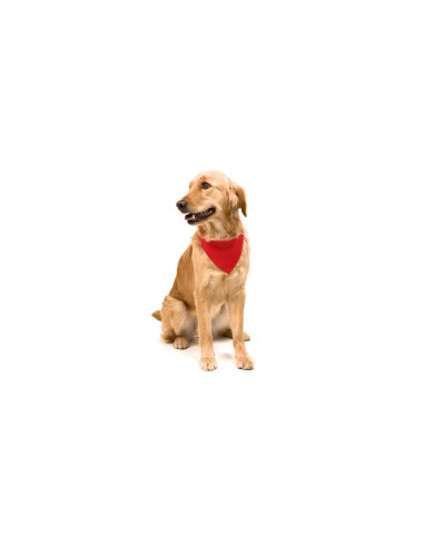 Collar Bandana Roco